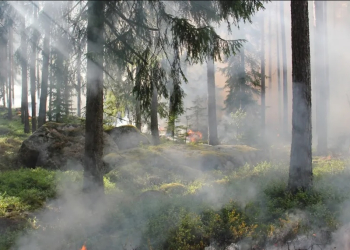 Vyhlásenie zvýšeného nebezpečenstva vzniku požiaru